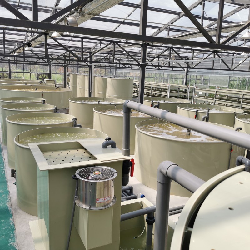 Factory based Circular Aquaculture System