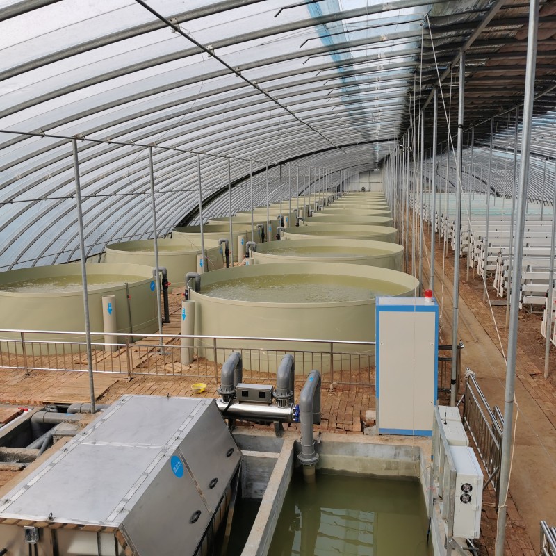 Factory based Circular Aquaculture System