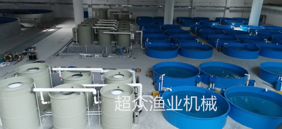 Factory based Circular Aquaculture System