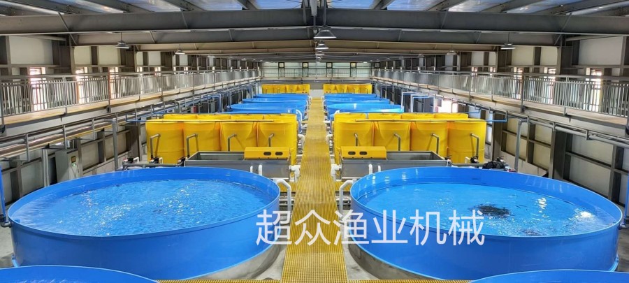 Factory based Circular Aquaculture System